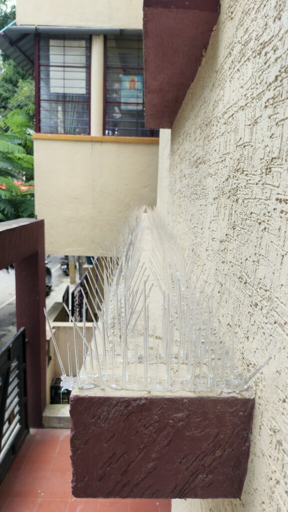 Birds Control Spikes in Chennai​