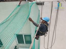 Terrace Net