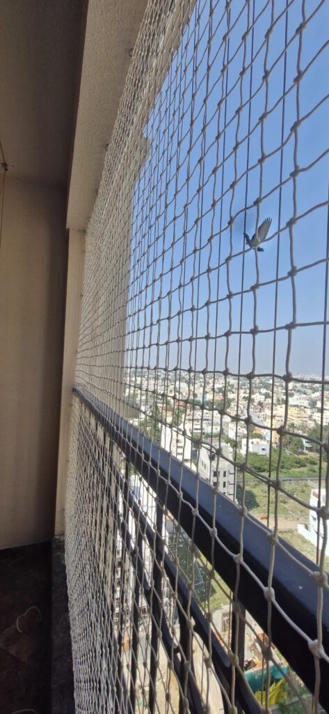 Bird Control in Chennai