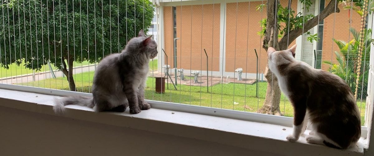 Pet Safety Grills