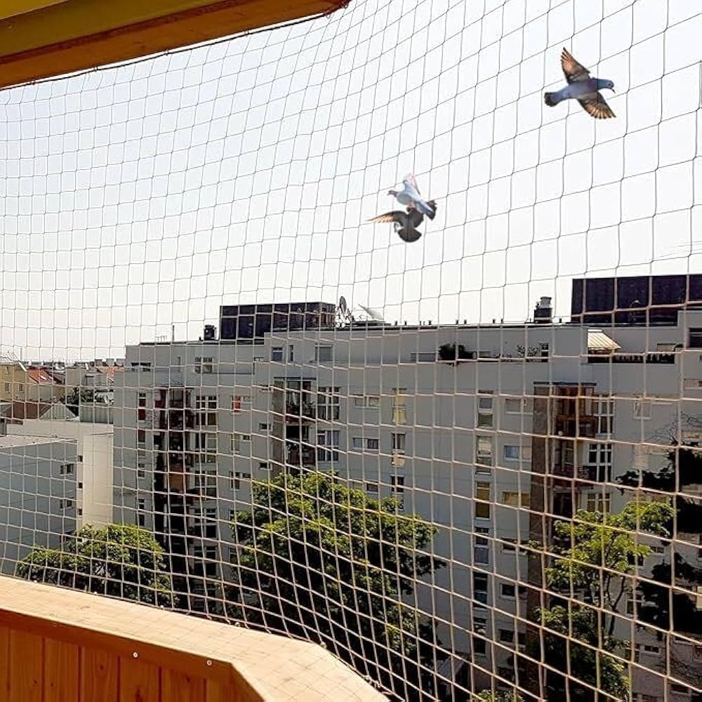 Bird Protection Nets in Guindy